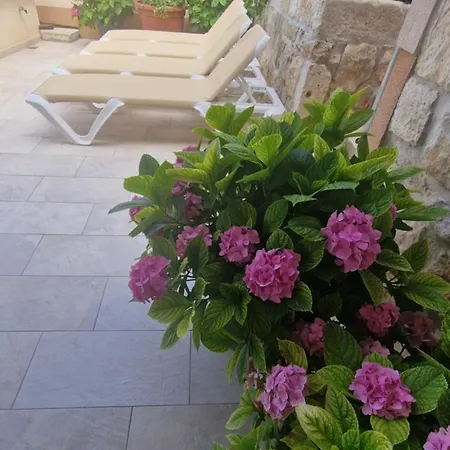 Ante 2 Apartman