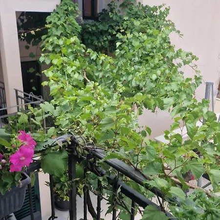 Apartman Ante 2