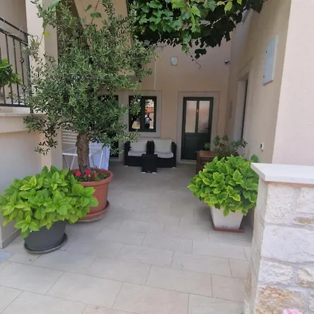Apartment Ante 2